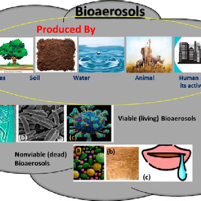 Bioaerosol Chief Producers Viable Bioaerosols A Fungi B