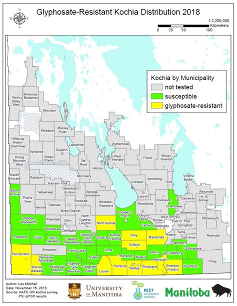 Weed Seedling Identification Manitoba Pulse Soybean Growers