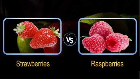 Strawberries Vs Raspberries Comparison Youtube