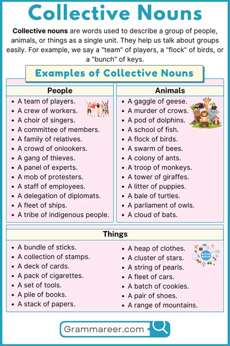 Collective Nouns In English With Examples Grammareer