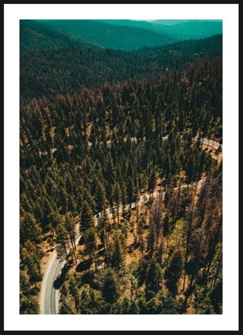 Poster Story Plakat Yosemite National Park Wymiary X Cm