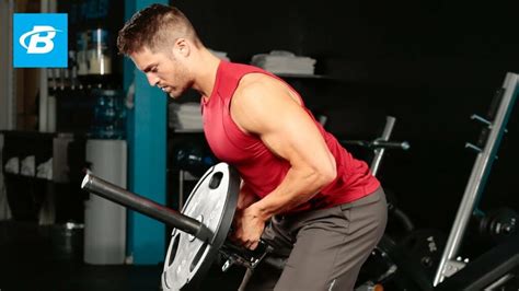 T Bar Row With Handle Exercise Guide