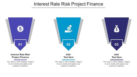 Interest Rate Risk Project Finance Ppt Powerpoint Presentation Portrait