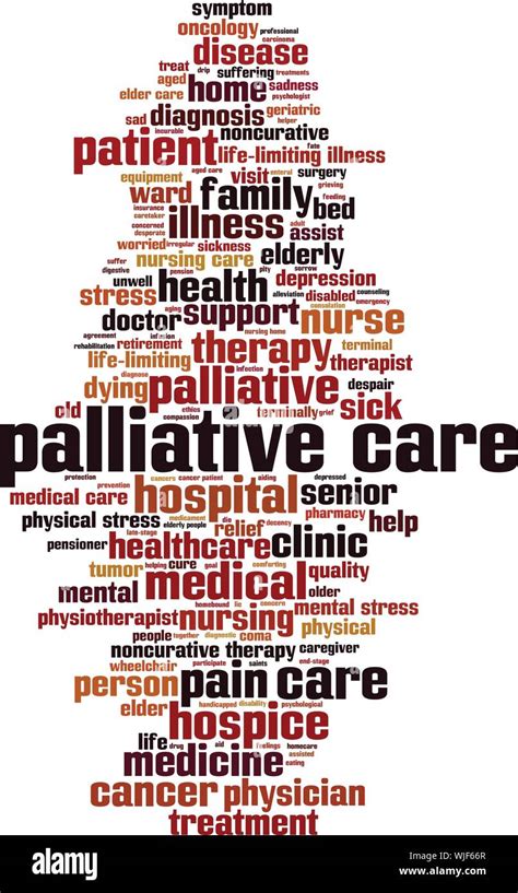 Palliative Care Wort Cloud Konzept Collage Aus Worte über Palliative