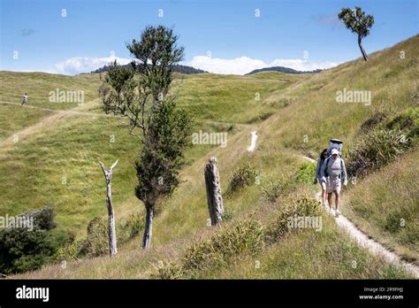 Walkers On A Wilderness Walk To Wharariki Beach New Zealand South