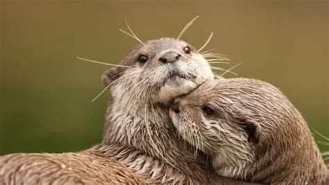 How To Have Sex In A Two Person Sleeping Bag GQ