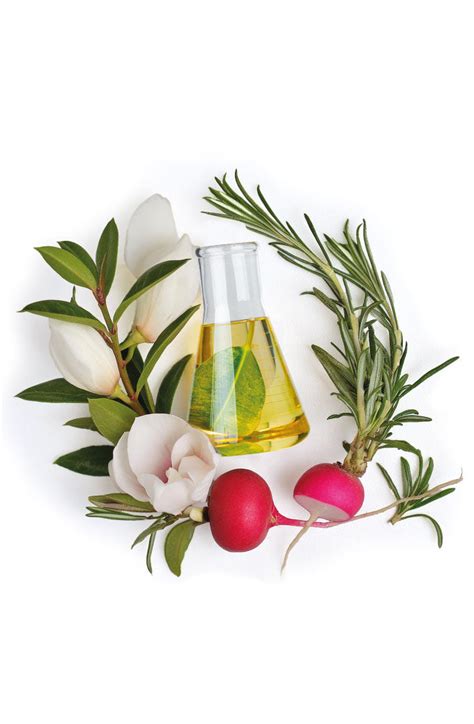 Crema All In One | azione idratante e nutriente | Olioseta Barex ...