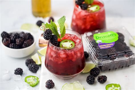 15 Best Blackberry Cocktails To Drink