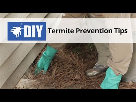 Termite Prevention Tips Video | DoMyOwn.com