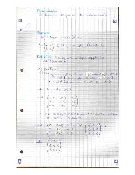 Solution Mathematiques Matrices Determinants Studypool