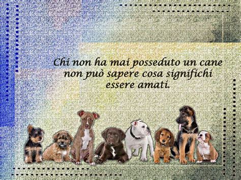 La Preghiera Di Un Cane Ppt Scaricare