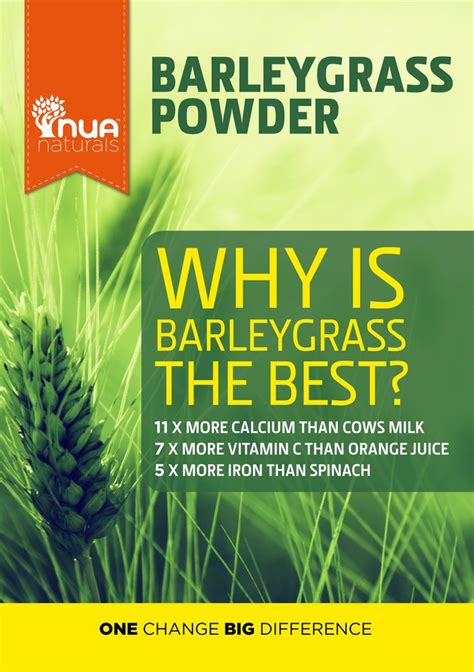Barleygrass Benefits