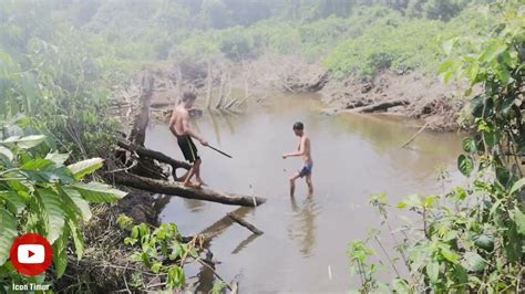 Mancing Terseret Predator Di Kedalaman Sungai Pada Puing Puing Kayu