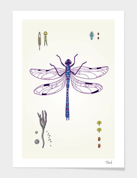 Happy Dragonfly Art Print By SmallDrawing Numbered Edition From 24