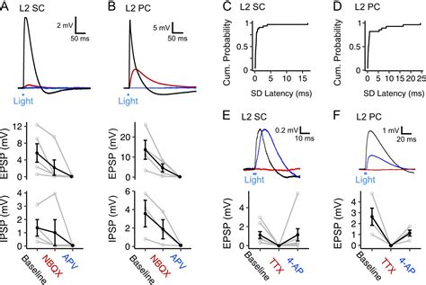 Fan Cells In Lateral Entorhinal Cortex Directly Influence Medial