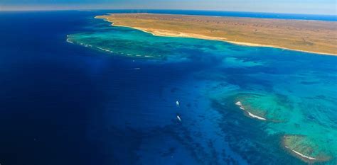 The Ningaloo Reef Dive Ningaloo