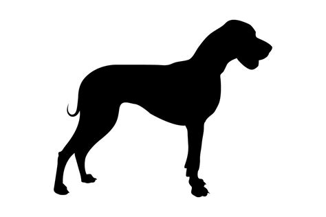 Great Dane Silhouette SVG Graphic by LooksGoodOnYou · Creative Fabrica