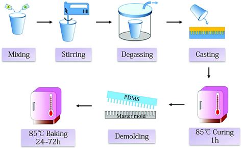 Schematic Diagram Showing The Procedure Of Making Pdms Mold Download