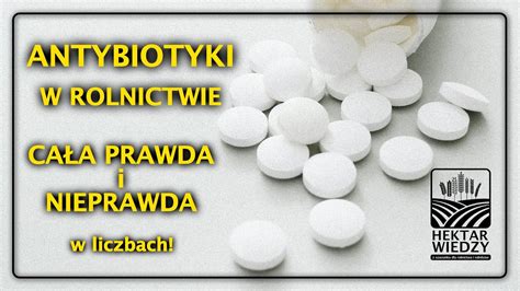 Antybiotyki W Rolnictwie Ca A Prawda I Nieprawda Hektar Wiedzy