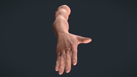 Human Arm Male Buy Royalty Free 3d Model By Adrian Christians Aedrian1 Dd0bc1f