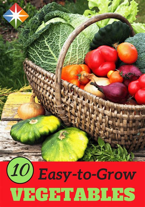 The 10 Easiest Vegetables To Grow Easy Vegetables To Grow Veggies To