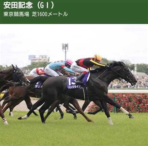 安田記念 アカリンの競馬