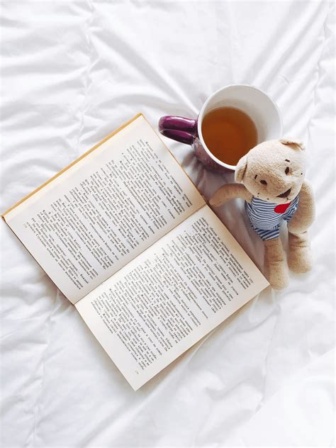 book pages      book pages stock  hd