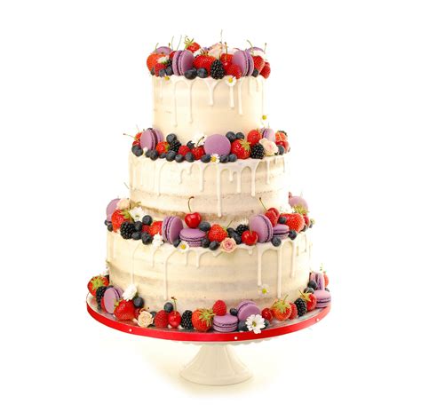 Semi Naked Cake Drip Cake Torten Und Cupcakes Manufaktur Wien
