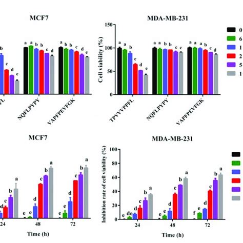 Synthesized Peptides Inhibited The Cell Viabilities Of Mcf And