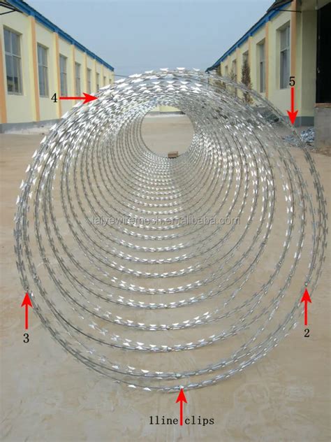 Concertina Electric Galvanized Razor Barbed Wire Bto22 450mmx10kg Per Roll Buy 450mm Coil