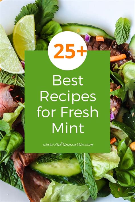 50 Best Fresh Mint Recipes And How To Preserve Mint Mint Recipes