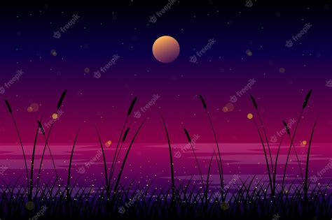 Premium Vector Night Landscape With Moon And Sky Illustration