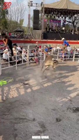 Jaripeo extremo corrió con suerte el jinete un poco más y queda atorado