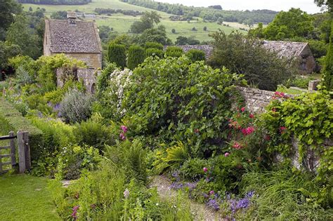 Country Garden Plants, Uk Photograph by Bob Gibbons | Fine Art America