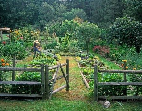 Potager Garden Backyard Garden Backyard Landscaping Diy Garden