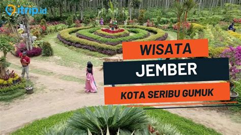 Tempat Wisata Di Jember Terbaru Dan Terkenal Wisata Jember Yang