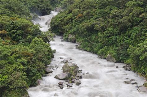 Agua Dulce Un Recurso Vital Por Conocer Valorar Y Proteger Amazon