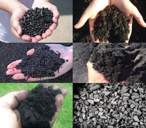 Biochar And Soil Physical Health Intechopen