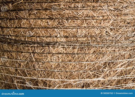 Hay bail close up stock photo. Image of bail, rural, natural - 58260762