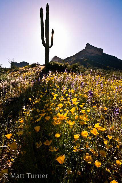 Yavapai County on Behance
