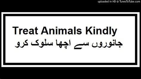 Treat Animals Kindly جانوروں سے اچھا سلوک کرو Youtube