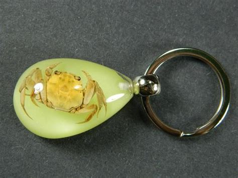 Glowing Crab In Lucite Keyring Keychain Real Crab Specimen Etsy