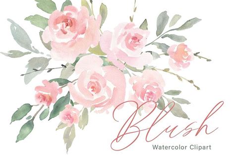 Pink Blush Watercolor Flowers Roses Floral Watercolor Watercolor