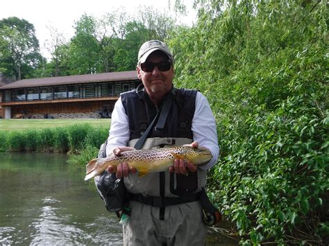 Top 5 Of 2017 Best Pennsylvania Dry Fly Fishing Trout Haven