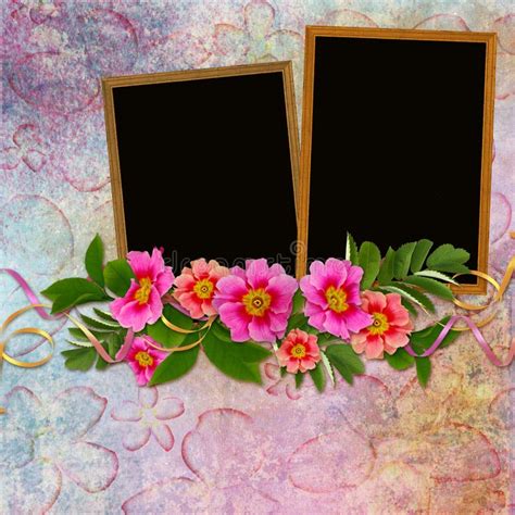 Framework for Photo or Invitation Stock Illustration - Illustration of ...