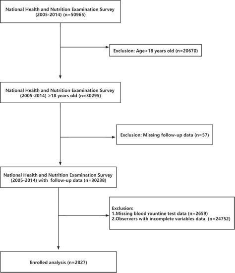 The Research Flowchart Download Scientific Diagram