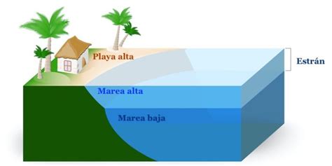 Playa Concepto tipos formación conservación y ejemplos