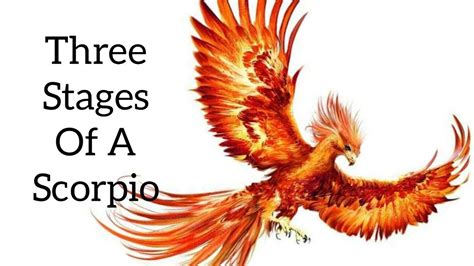 What Is A Phoenix Scorpio