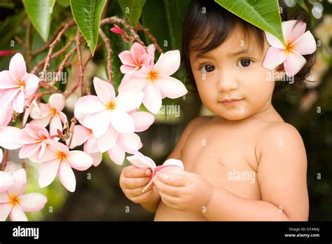 Hawaii Oahu Baby Girl Playing With Plumeria Flowers Stock Photo Alamy