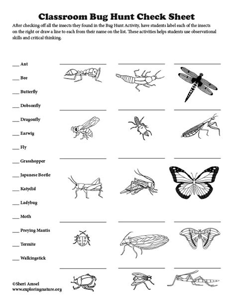 Bug Hunt Chart